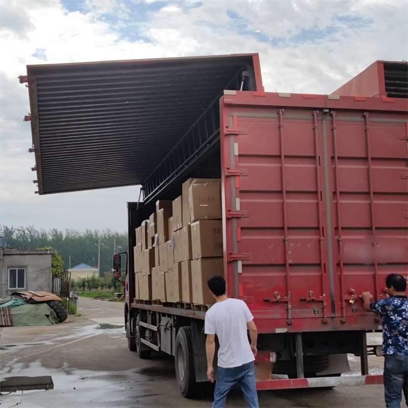 鼎湖区扎囊县：物流专线的高效货运之旅